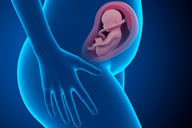 Dra. Thaline Neves explica como a avaliação do bem-estar fetal garante informações essenciais sobre a saúde do bebê no útero.