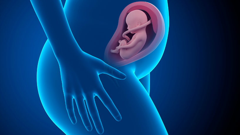 Dra. Thaline Neves explica como a avaliação do bem-estar fetal garante informações essenciais sobre a saúde do bebê no útero.