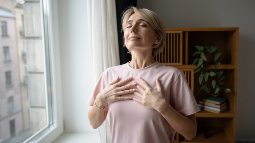 Sindnapi - Sindicato Nacional dos Aposentados, Pensionistas e Idosos